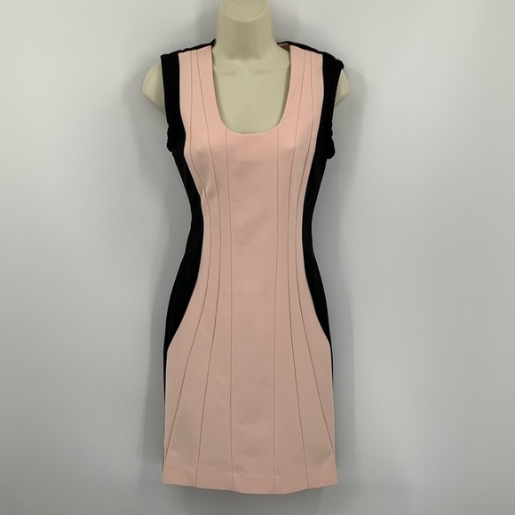 Diane Von Furstenberg Dresses & Skirts - Diane von Furstenberg Carmelle Jersey pink blush black dress seam sheath new 2